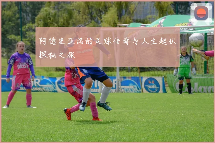 阿德里亚诺的足球传奇与人生起伏探秘之旅