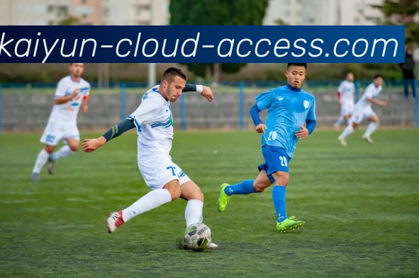 开云APP下载发展历程